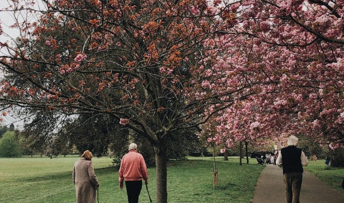 Old people walking in the park
